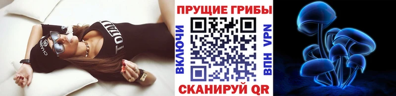 Купить  Ишимбай  Псилоцибиновые грибы Psilocybine cubensis 